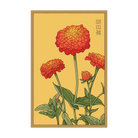 Zinnia Flower Seeds Packet - Chive UK
