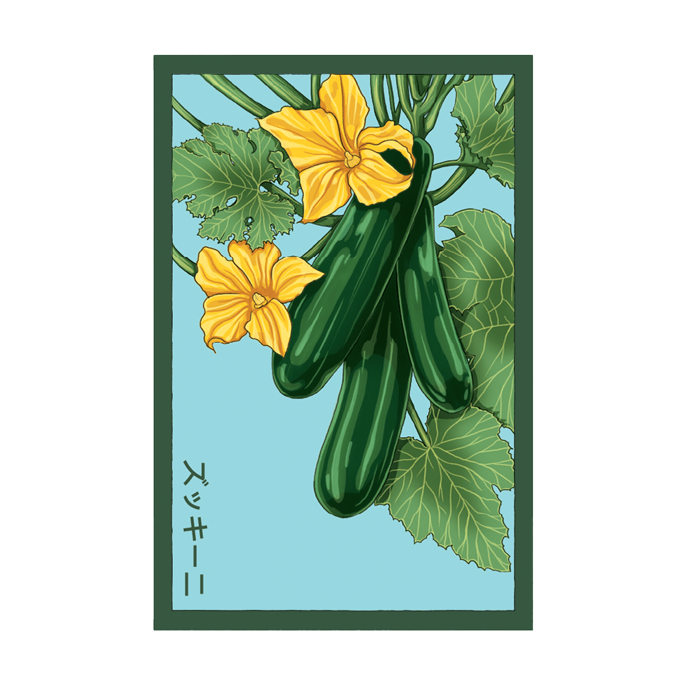 Zucchini Vegetable Seeds Packet - Chive UK