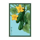 Zucchini Vegetable Seeds Packet - Chive UK