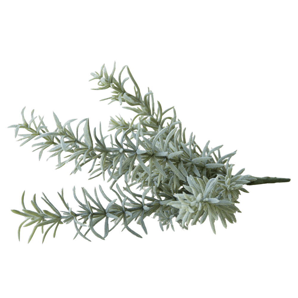 Succulents Fake Faux Lifelike Decorative Things - Chive UK