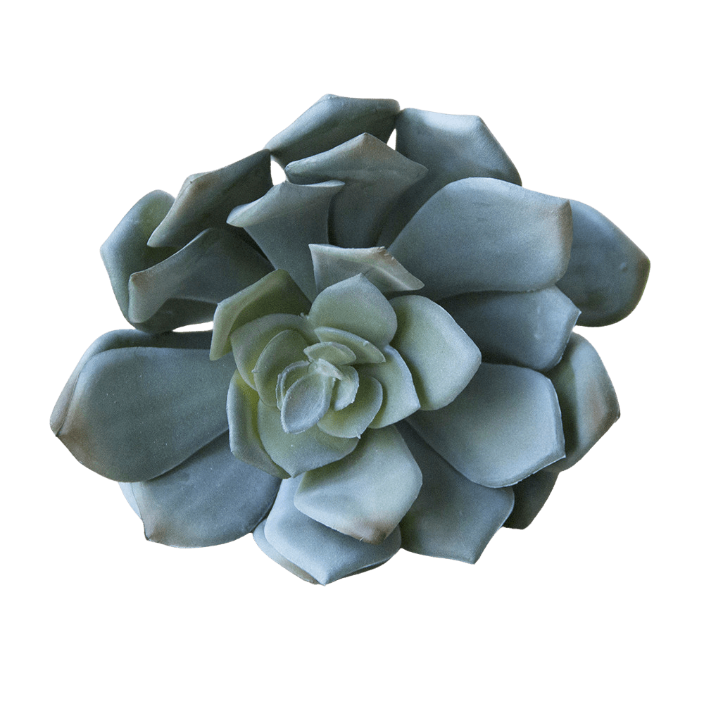 Succulents Fake Faux Lifelike Decorative Things - Chive UK