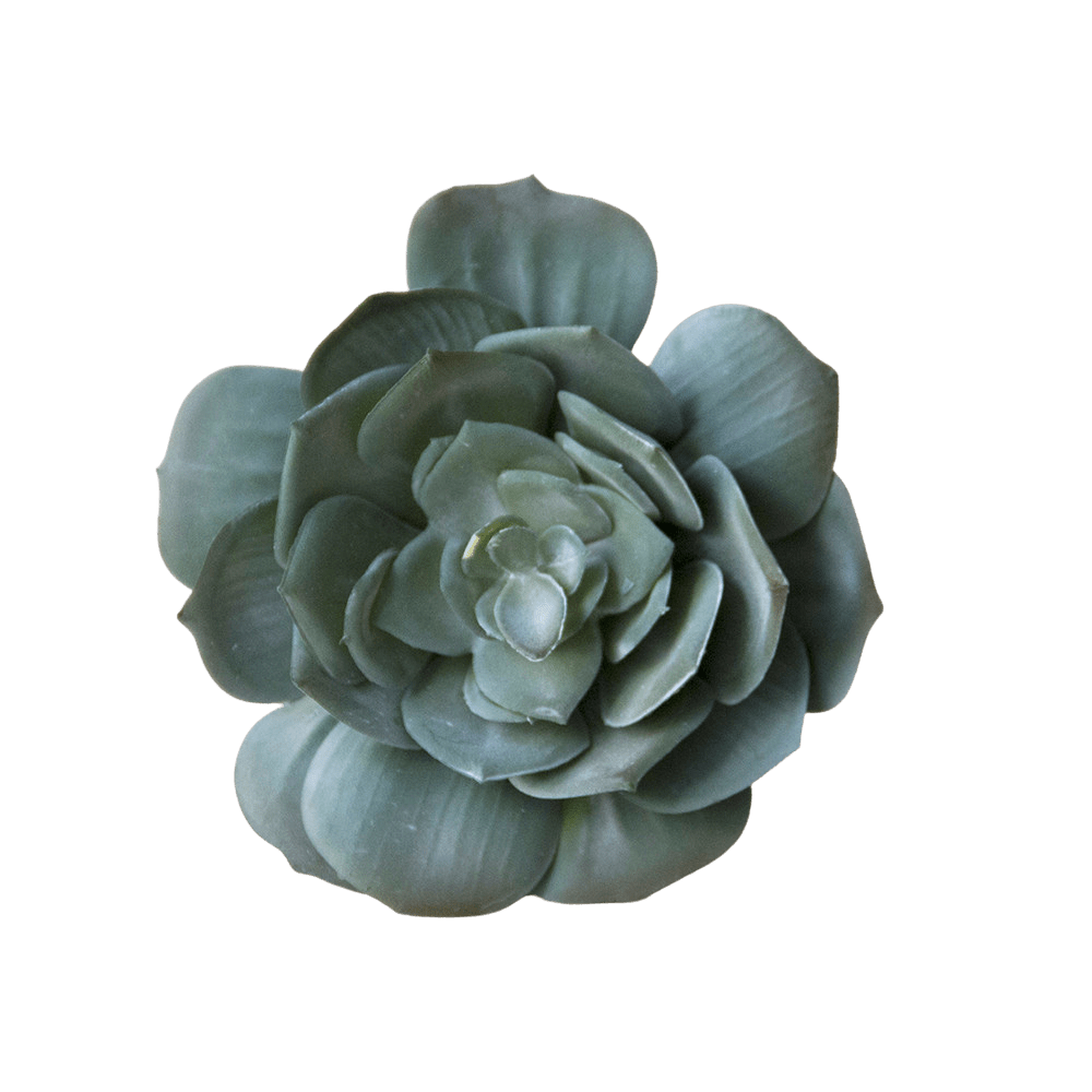 Succulents Fake Faux Lifelike Decorative Things - Chive UK