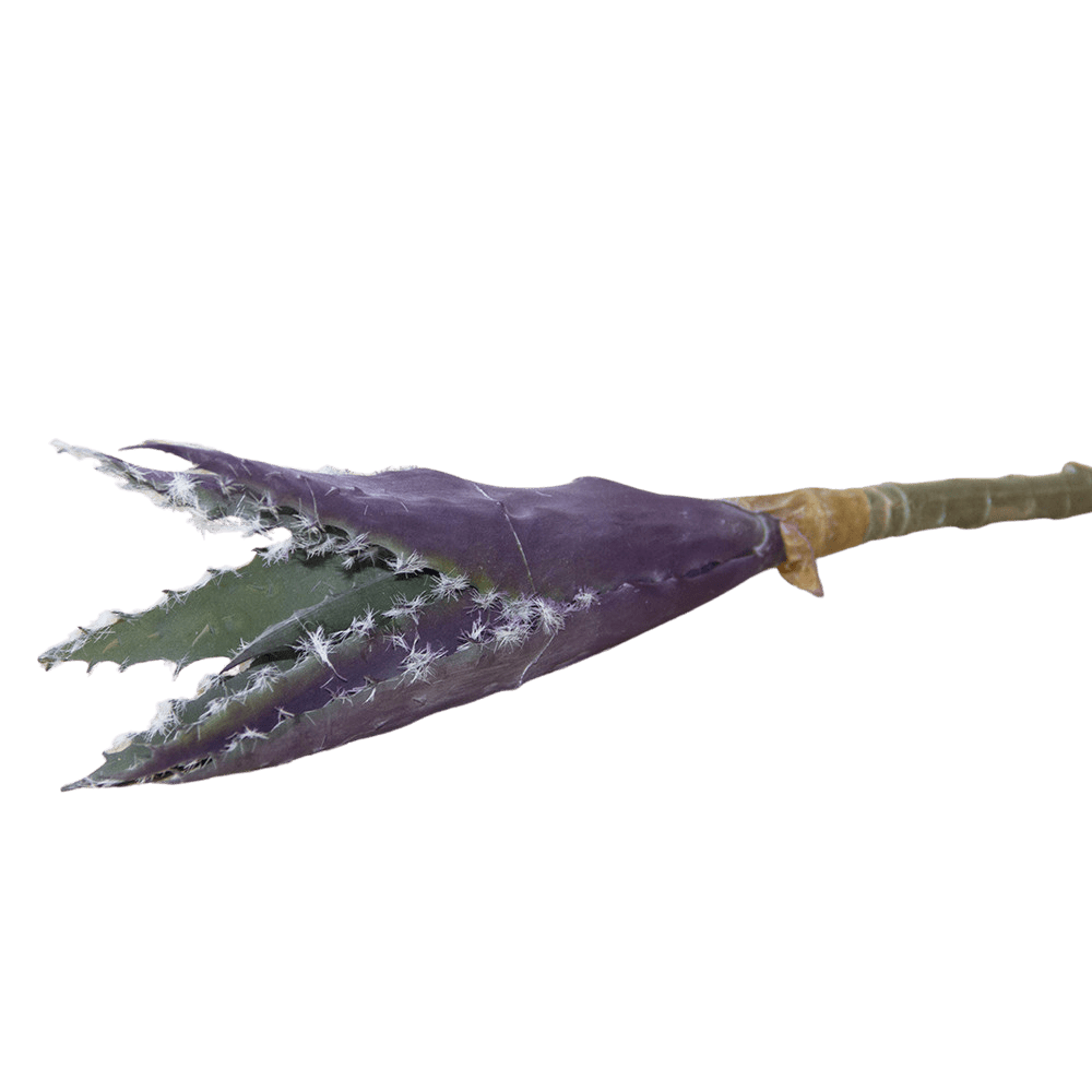 Succulents Fake Faux Lifelike Decorative Things - Chive UK
