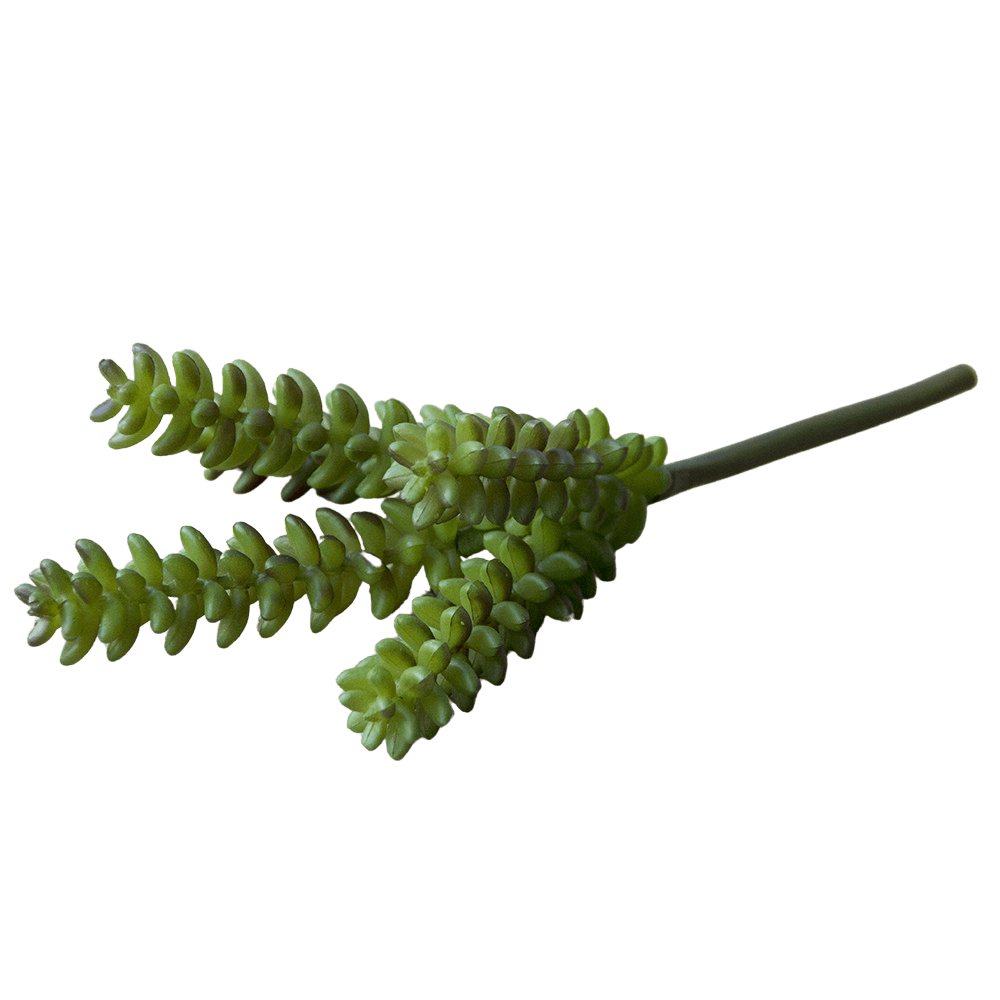 Succulents Fake Faux Lifelike Decorative Things - Chive UK
