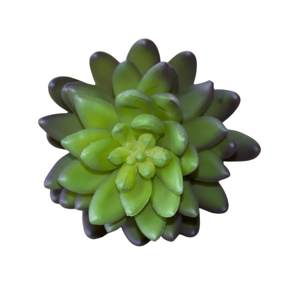 Succulents Fake Faux Lifelike Decorative Things - Chive UK