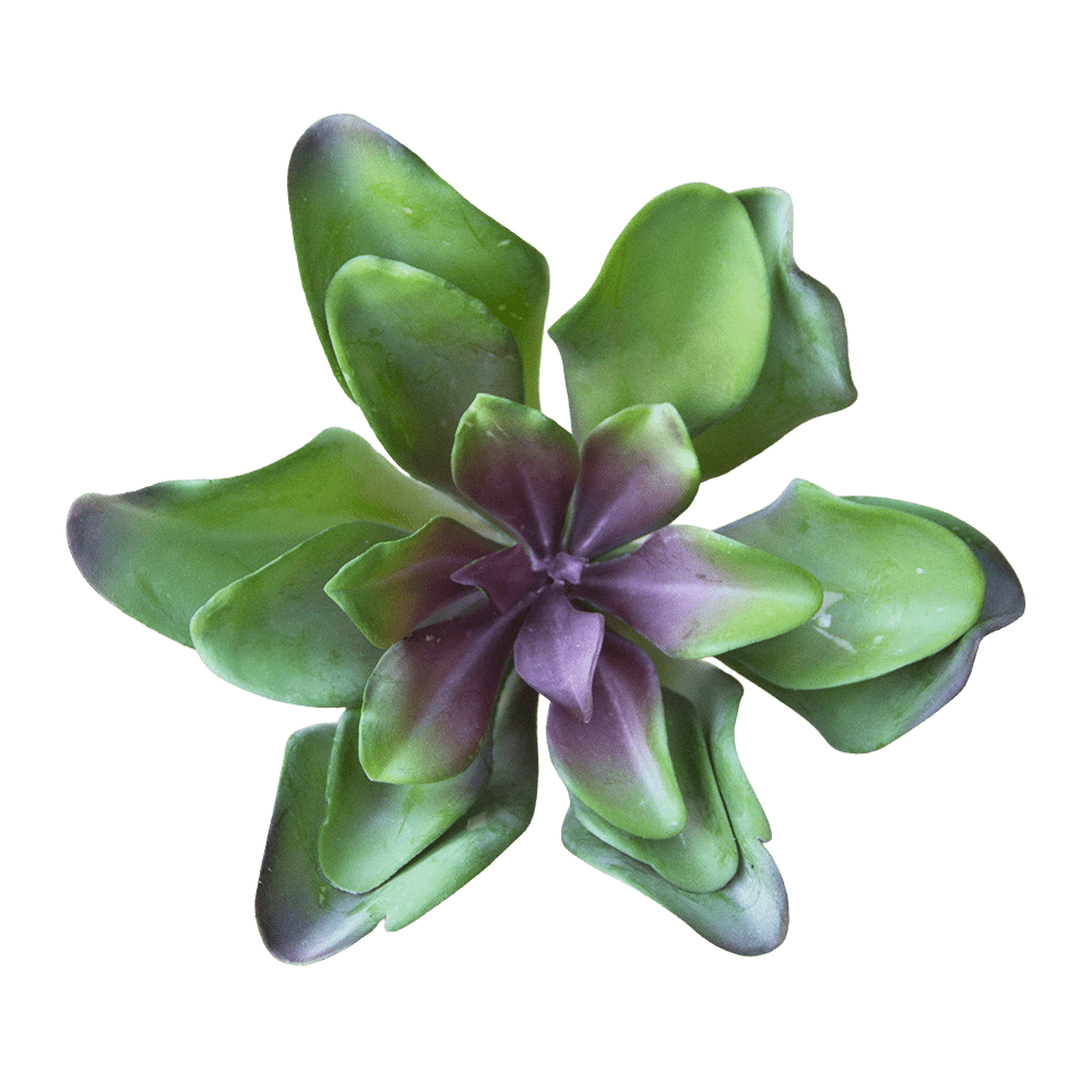 Succulents Fake Faux Lifelike Decorative Things - Chive UK