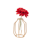 Test Tube Glass Propagation Vase - Chive UK