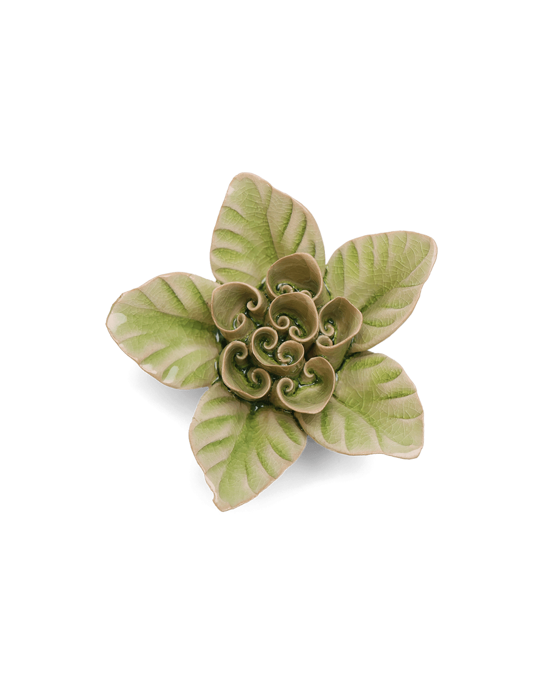 Peridot Green Maiden Lotus - Chive UK