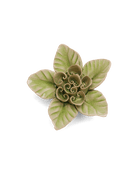 Peridot Green Maiden Lotus - Chive UK