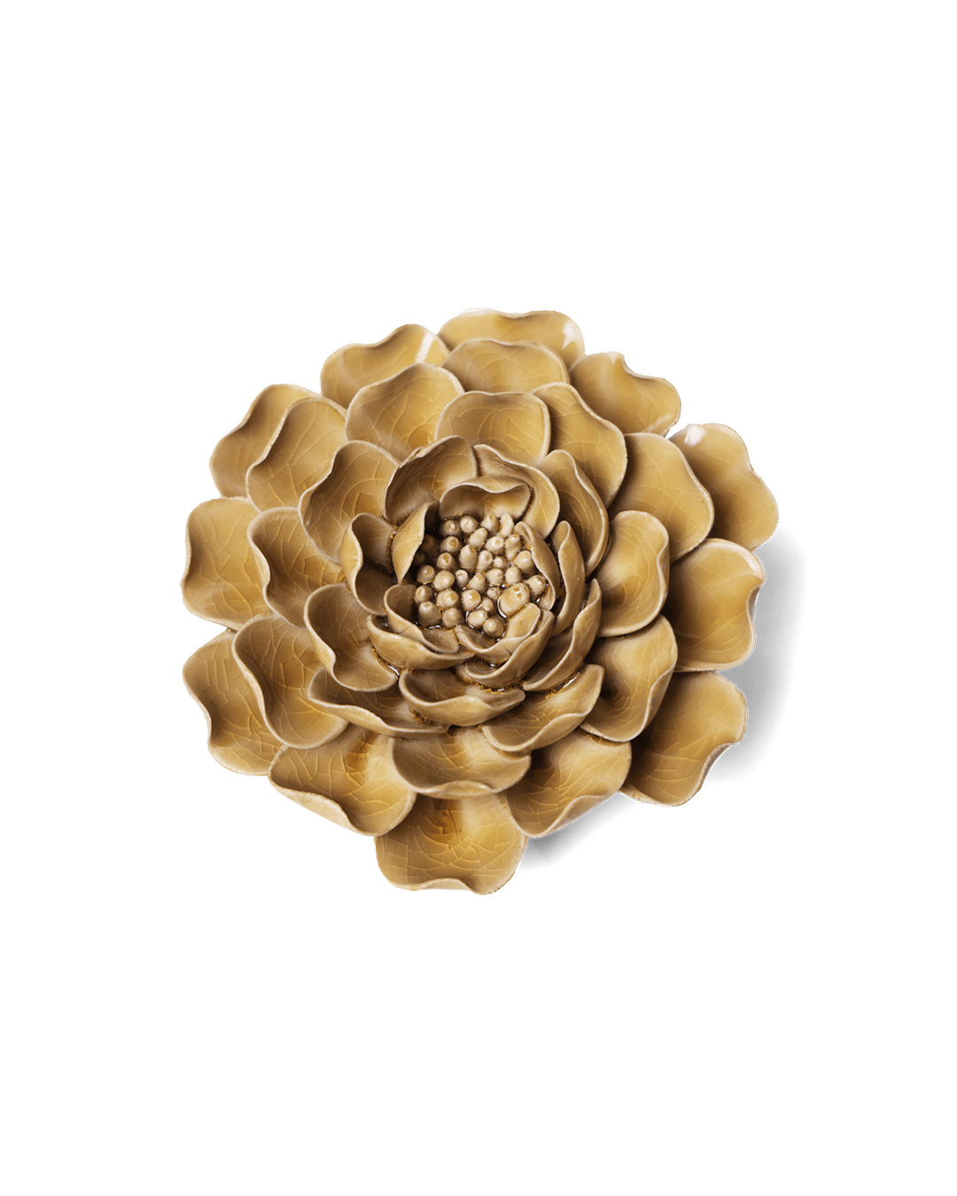 Caramel Charm Peony - Chive UK