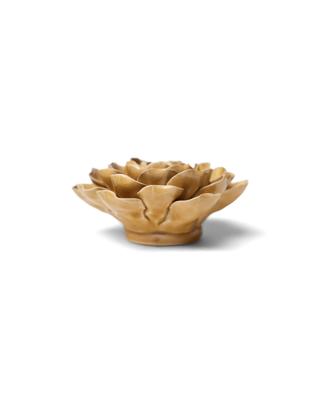 Caramel Charm Peony - Chive UK