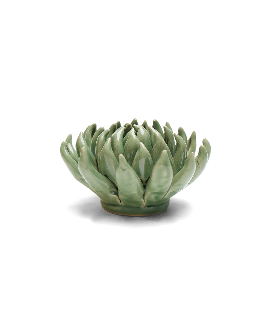 Jade Green Succulent - Chive UK