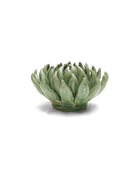 Jade Green Succulent - Chive UK