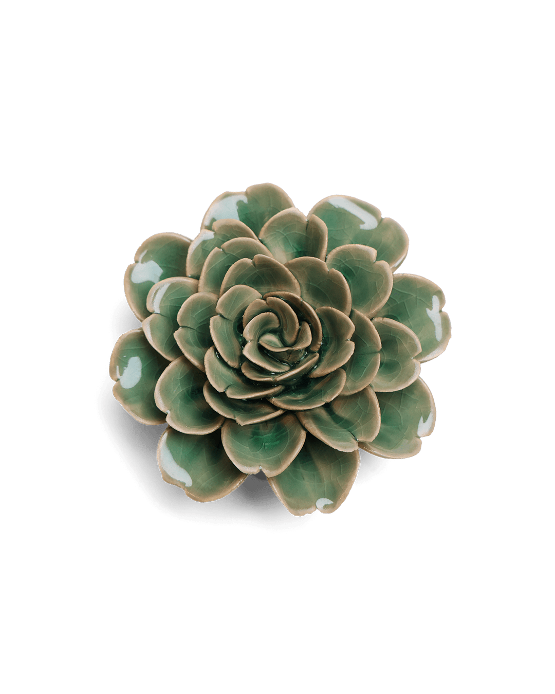 Jungle Green Tea Rose - Chive UK