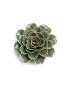 Jungle Green Tea Rose - Chive UK