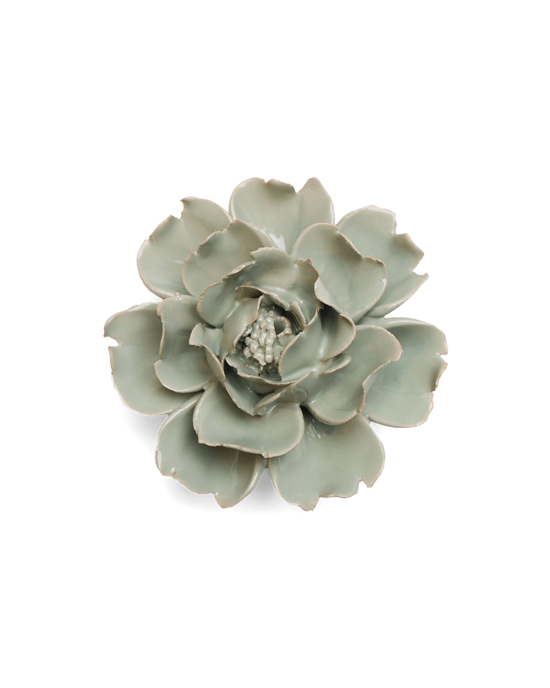 Pistachio Green Rose - Chive UK