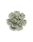 Pistachio Green Rose - Chive UK