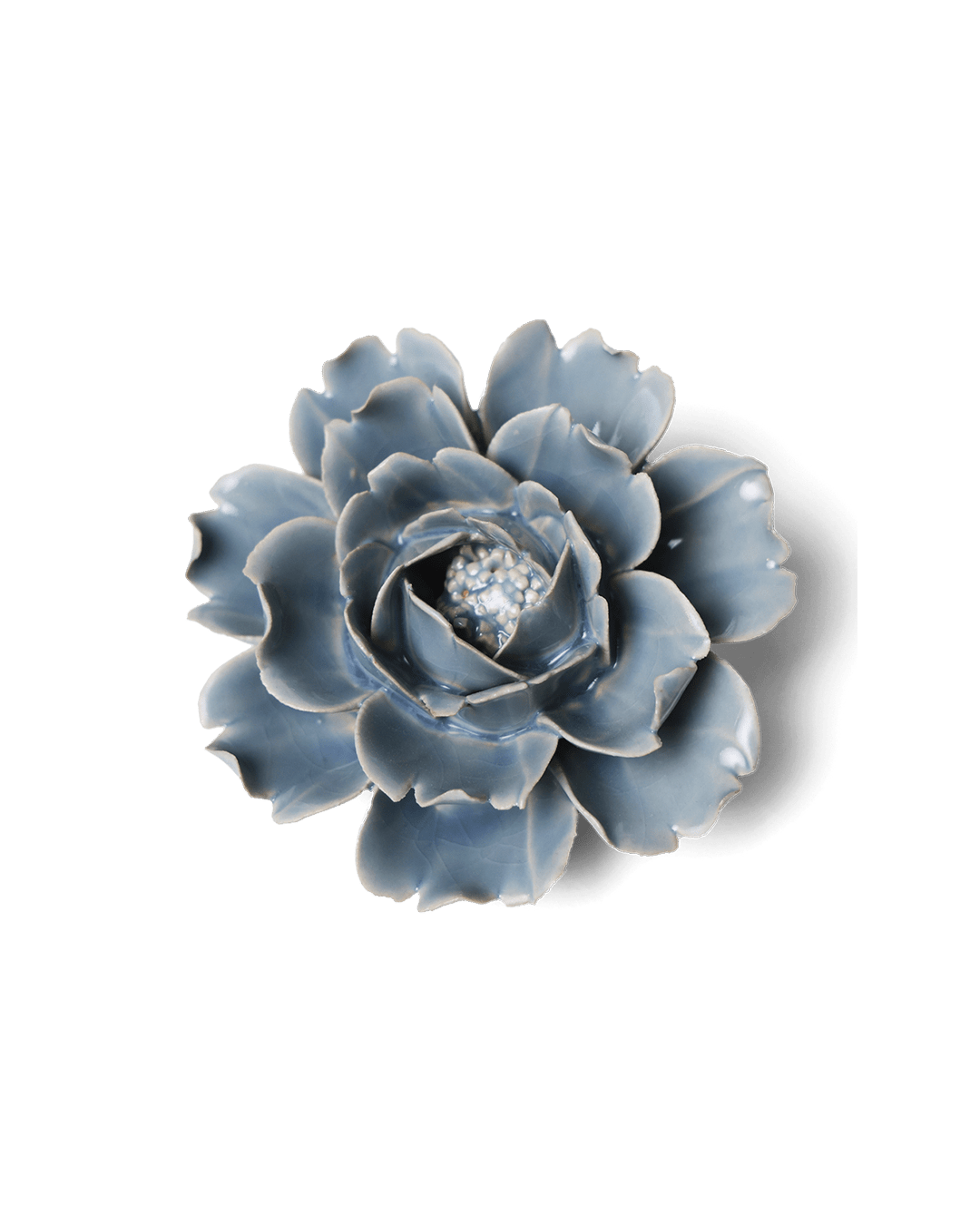 Pastel Blue Rose - Chive UK