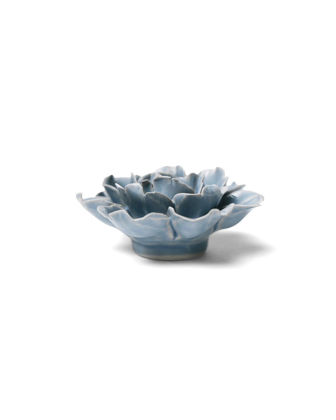 Pastel Blue Rose - Chive UK