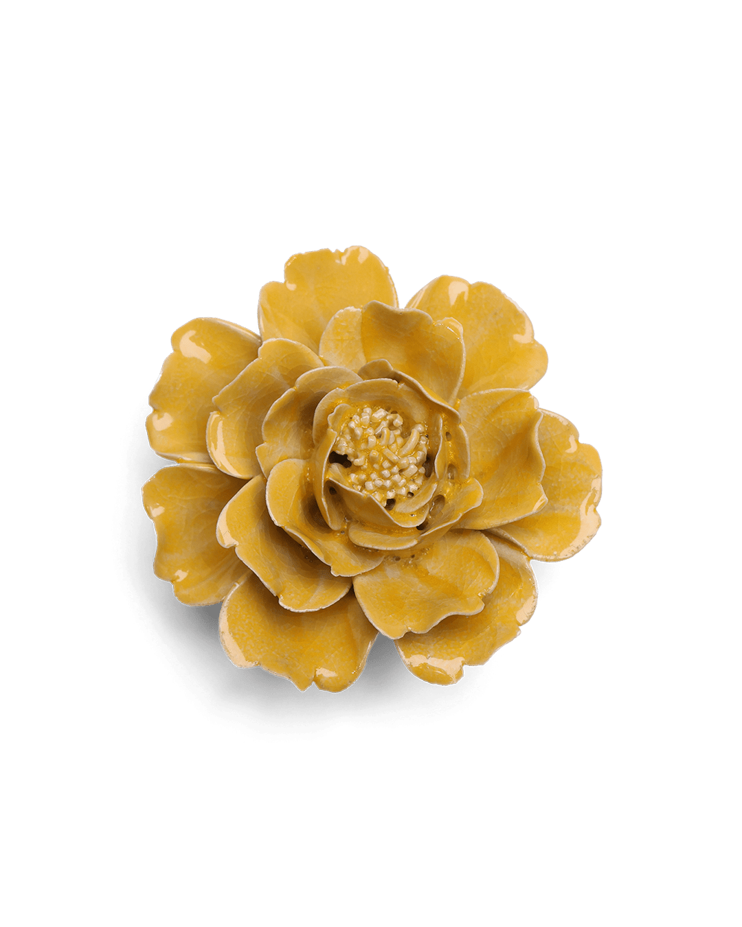 Burnt Yellow Rose - Chive UK