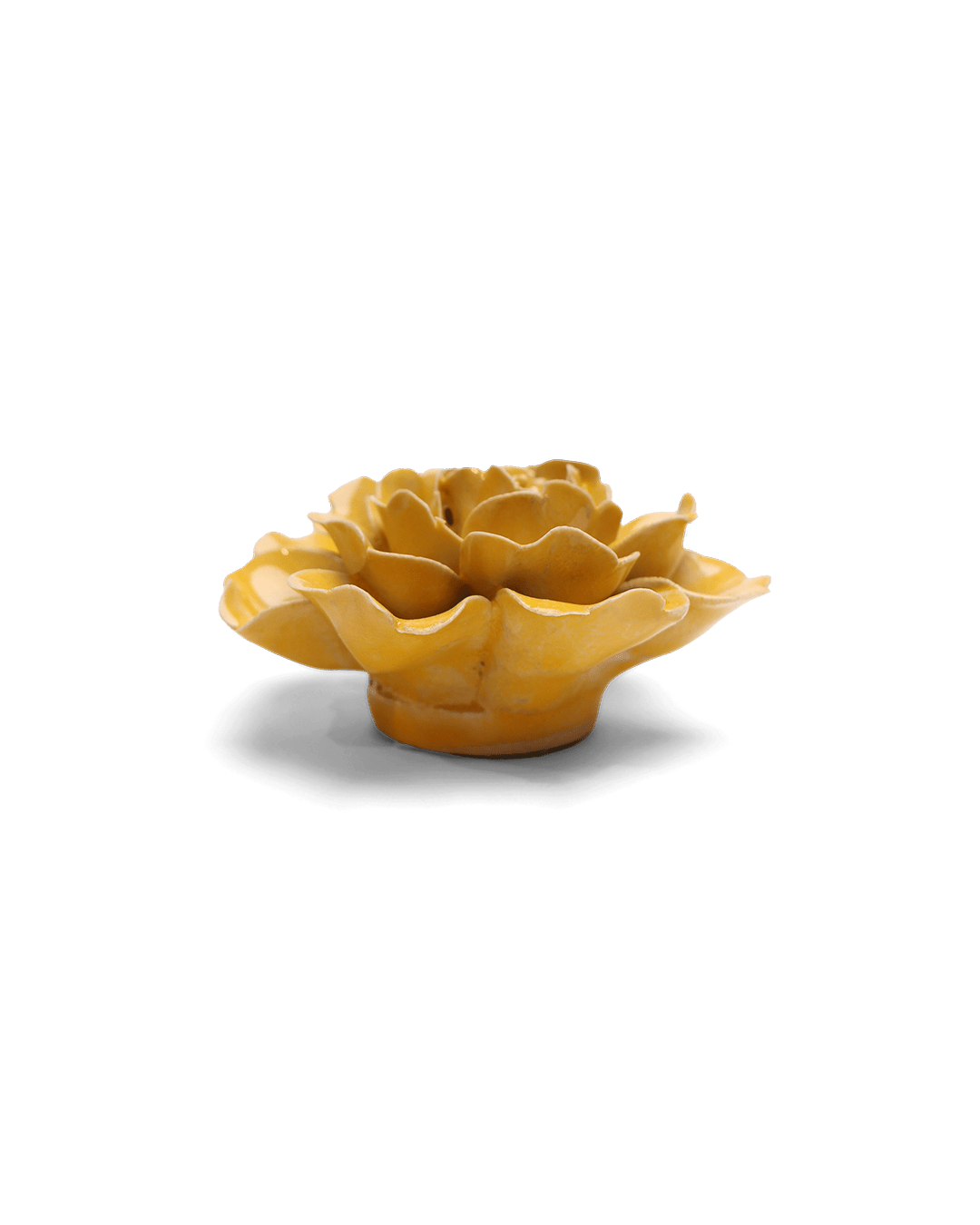 Burnt Yellow Rose - Chive UK