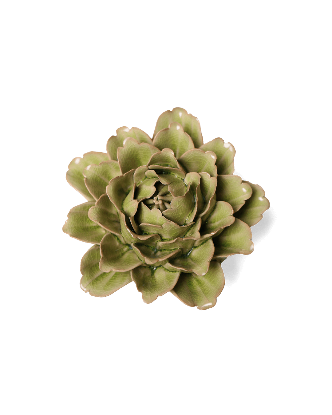 Peridot Comanche Peony - Chive UK