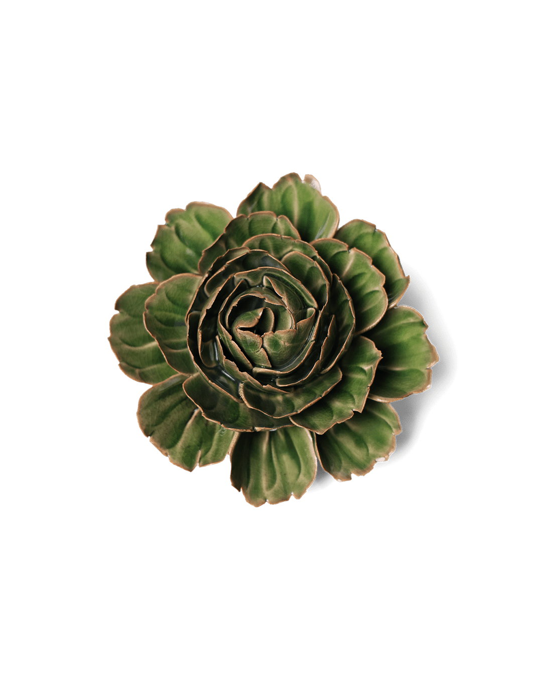 Avocado Green Rozella Peony - Chive UK