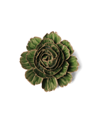 Avocado Green Rozella Peony - Chive UK