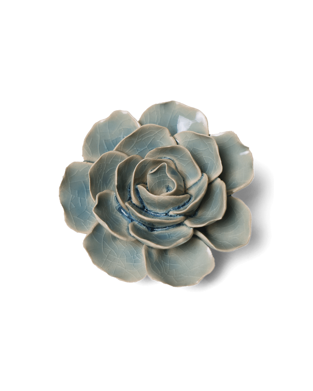 Powder Blue Amandine Ranunculus - Chive UK