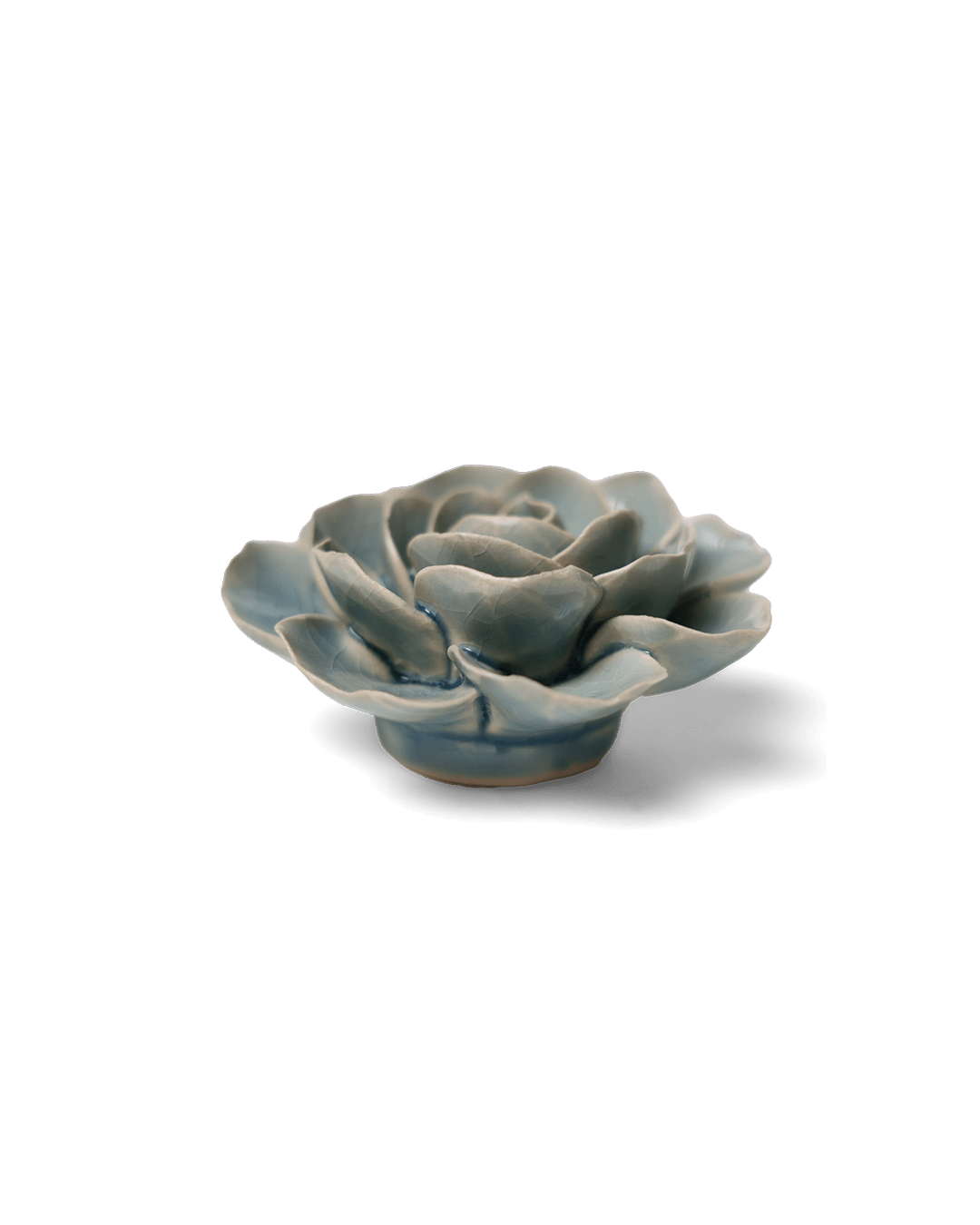 Powder Blue Amandine Ranunculus - Chive UK