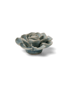 Powder Blue Amandine Ranunculus - Chive UK