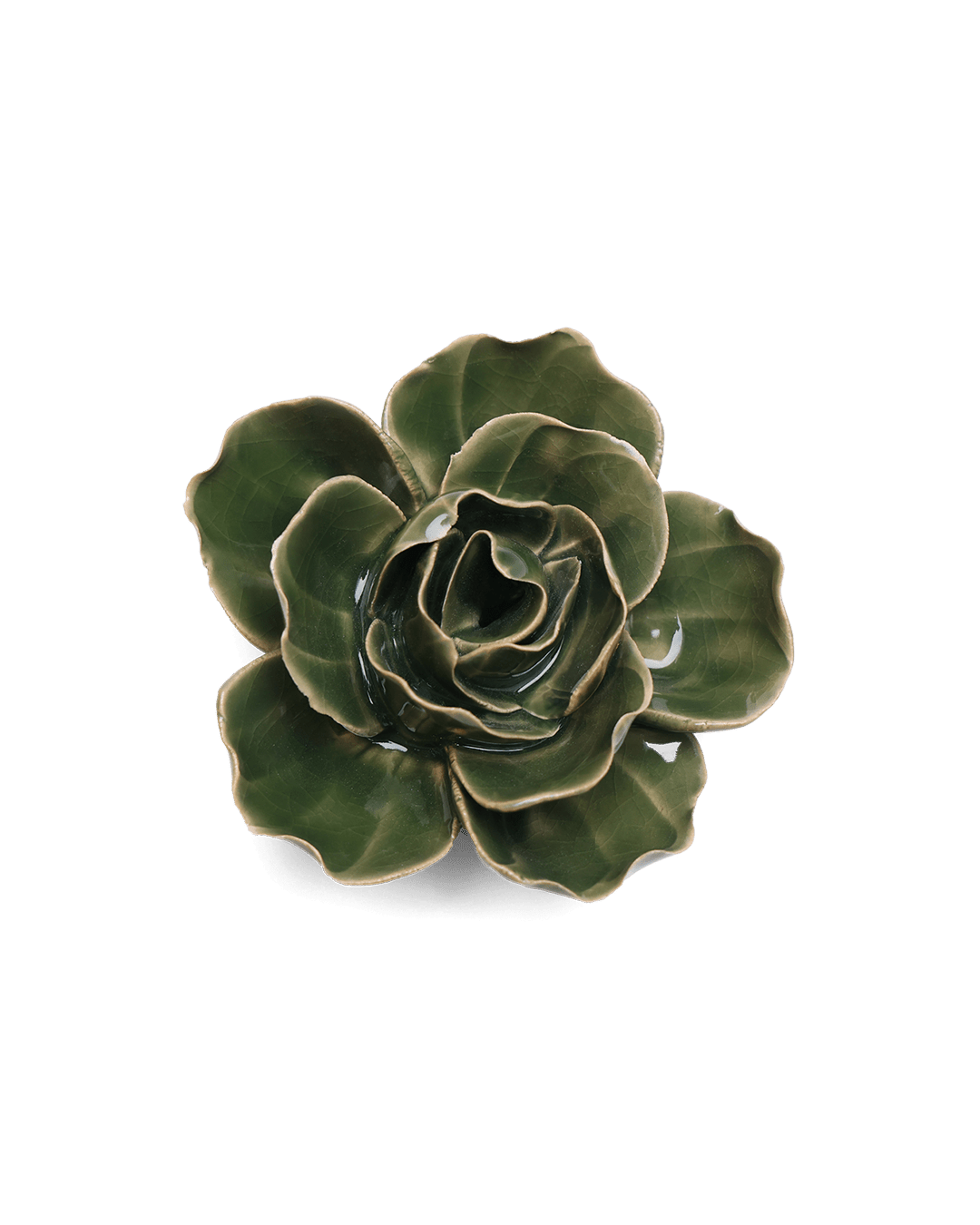 Fir Green Butterfly Ranunculus - Chive UK