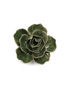 Fir Green Butterfly Ranunculus - Chive UK