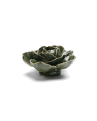 Fir Green Butterfly Ranunculus - Chive UK