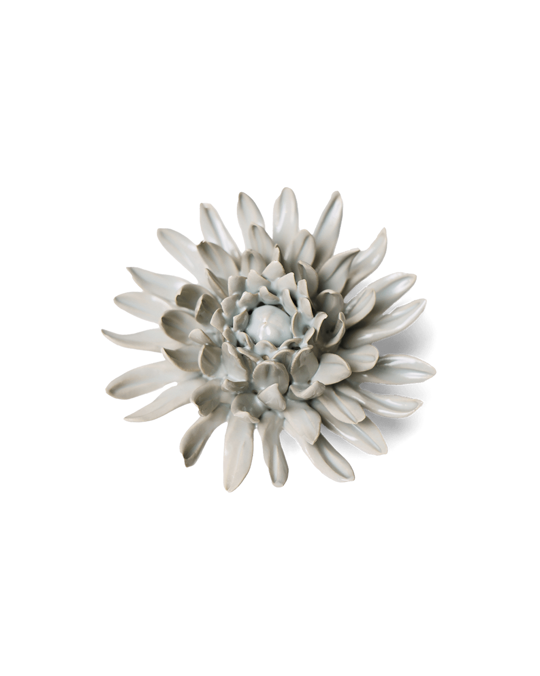 Panache Green Spider Mum - Chive UK