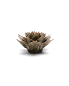 Olive Green Echeveria - Chive UK