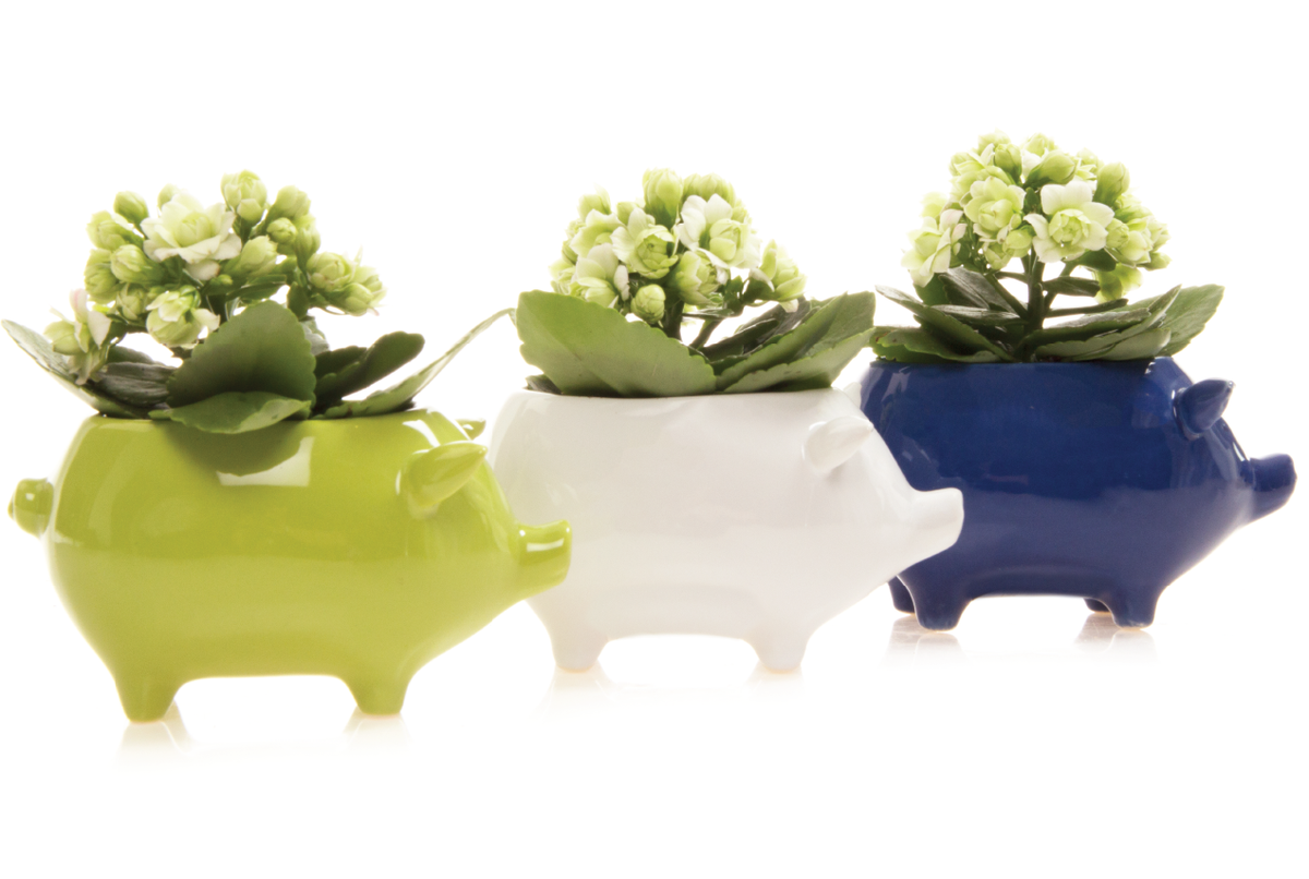 Japan Collection Ceramic Flowers by Chive | Handmade Floral Art – Chive UK