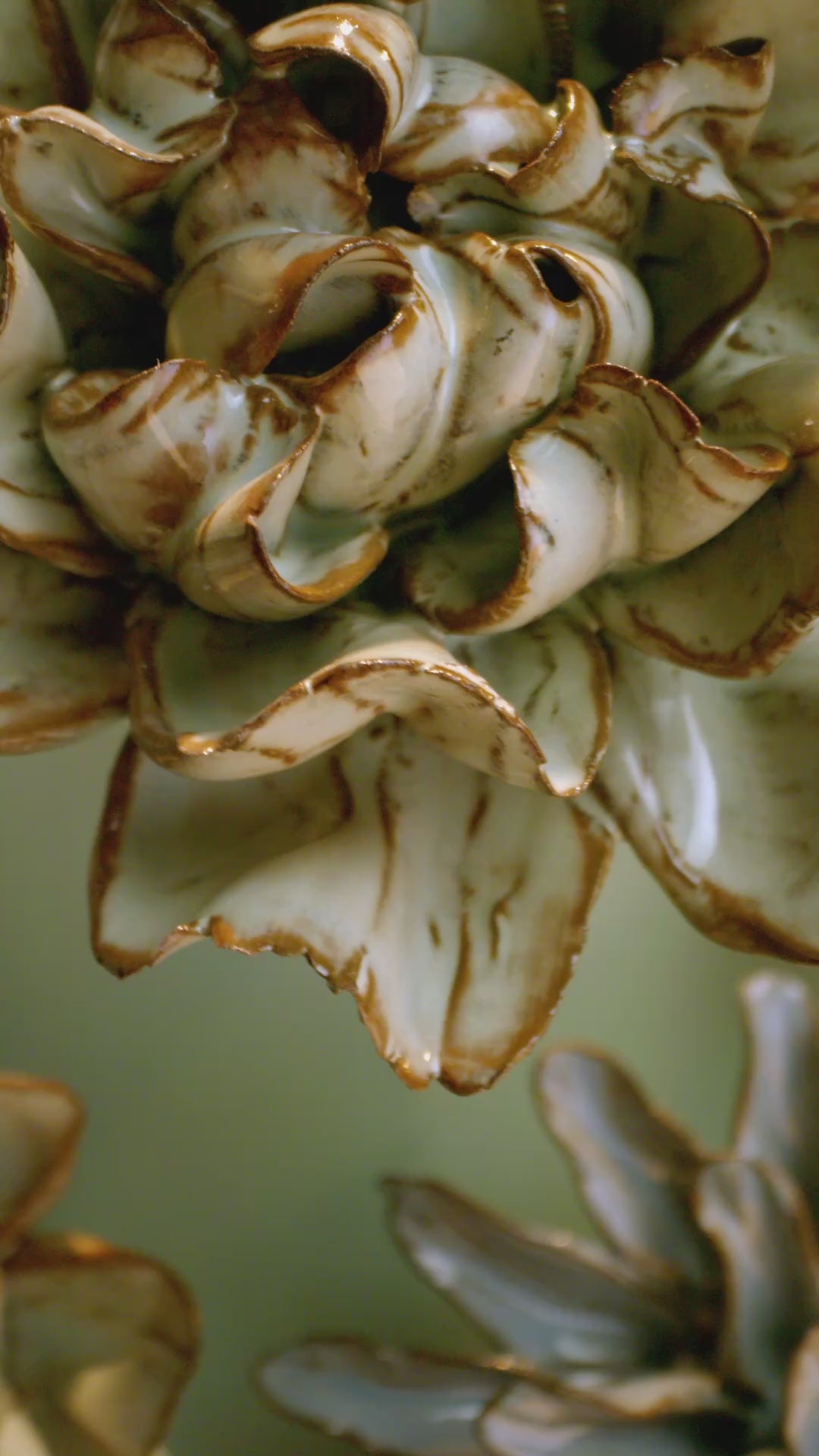 Latte Daffodil – Chive UK